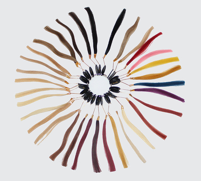 Paragon Hair Colour Ring (Color Ring) - European Hair